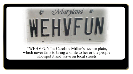 we have fun license plate